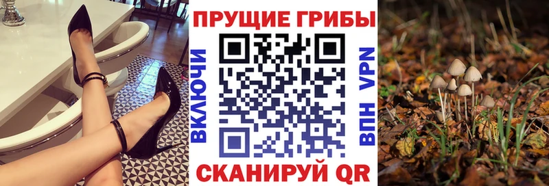 Галлюциногенные грибы MAGIC MUSHROOMS Бирюсинск